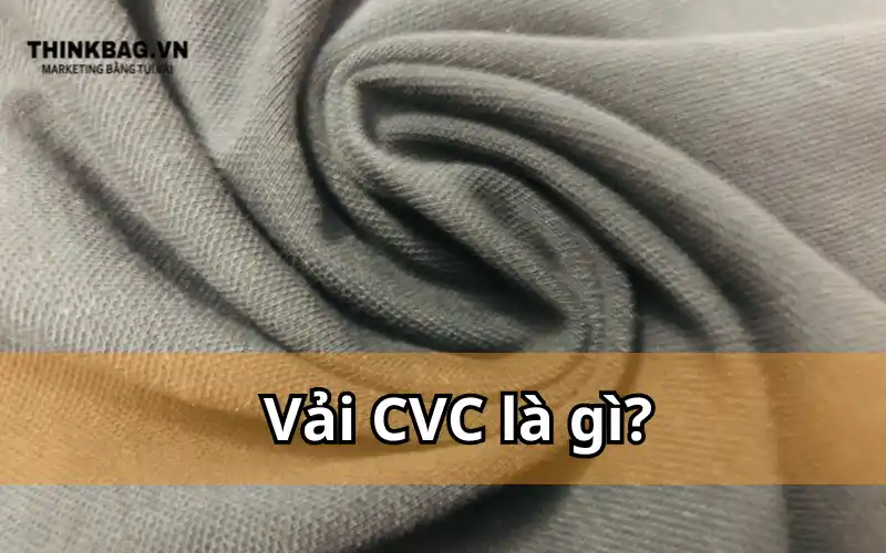 Vải CVC là gì