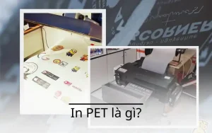 In Pet là gì? Tất tần tật về đặc điểm của kỹ thuật in Pet