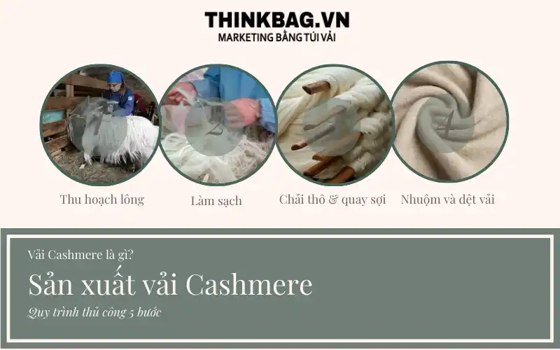 quy trình tạo ra vải cashmere