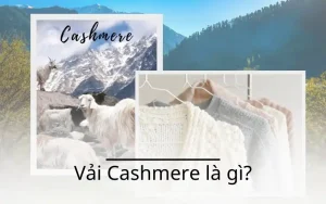 Vải cashmere là gì? Tất tần tật về chất liệu xa hoa bậc nhất