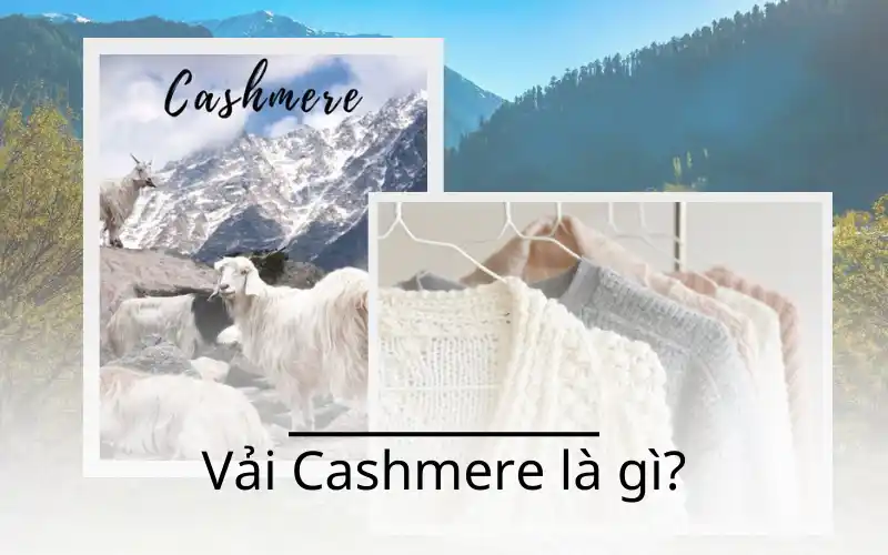 Vải cashmere là gì