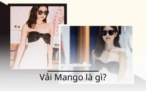 Vải Mango là gì? Giải đáp ưu nhược điểm và items vải Mango