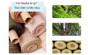 Vải modal là gì? Những đặc tính nổi bật mà bạn nên biết